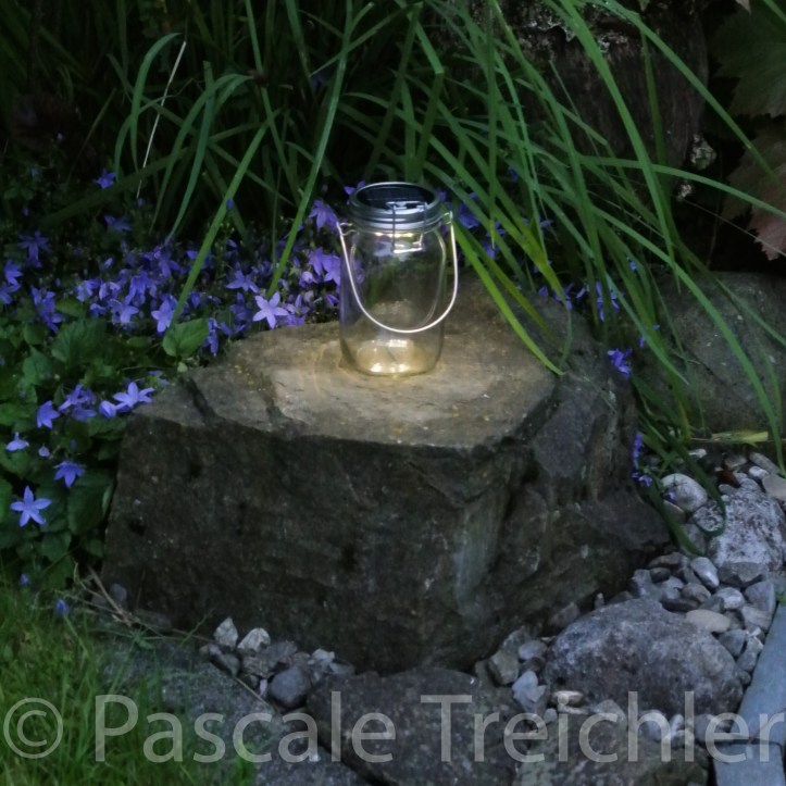 20130705-Teich - -07 282.jpg