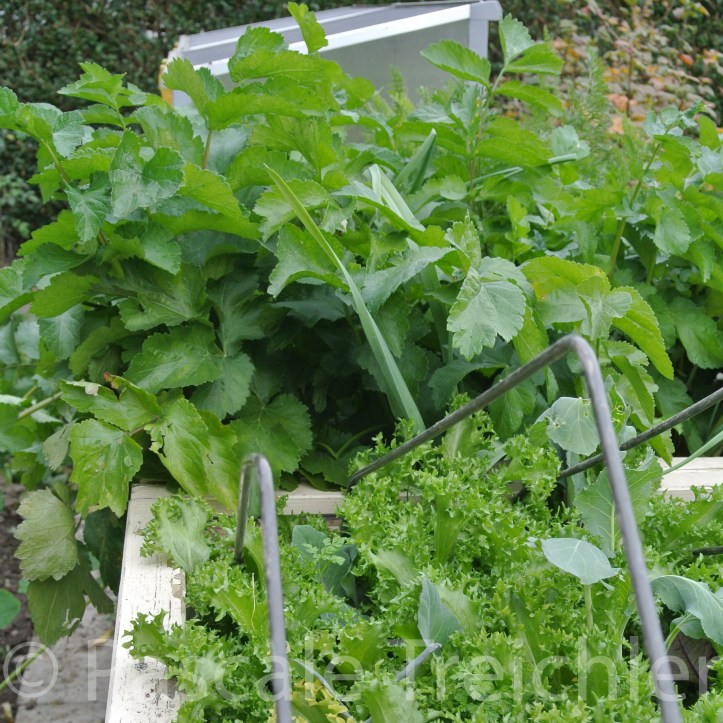 20171021-2017.10 6965.jpg