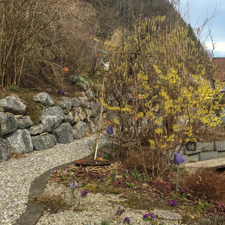 20180311-2018.03.6032