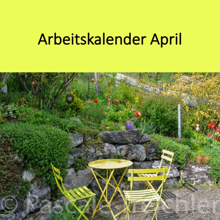 Garten Arbeitskalender April.jpg