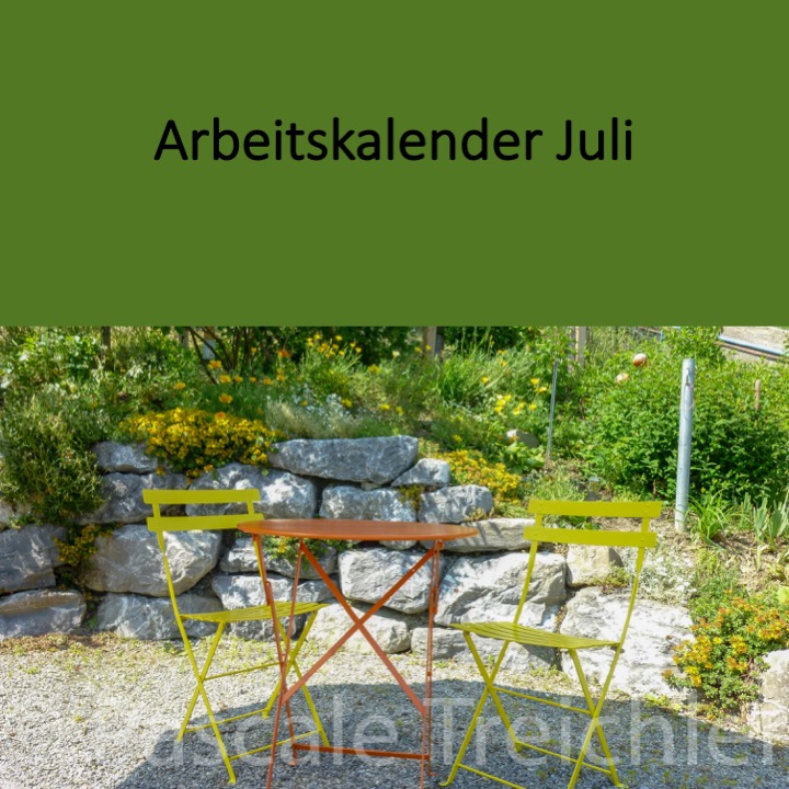 Garten Arbeitskalender Juli.jpg