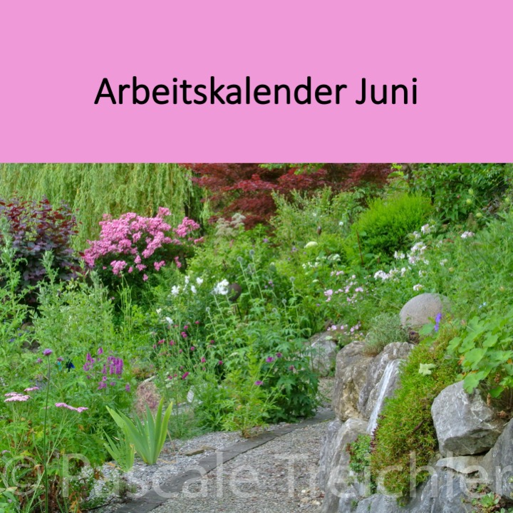 Garten Arbeitskalender Juni