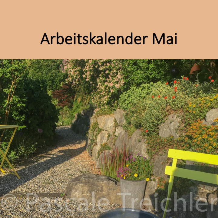 Garten Arbeitskalender Mai