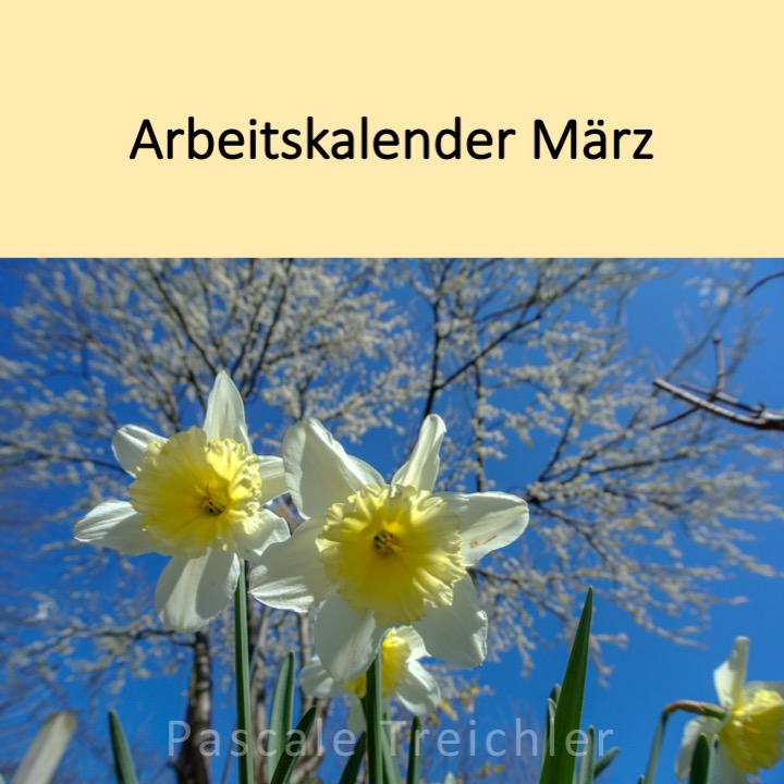 Garten Arbeitskalender März.jpg