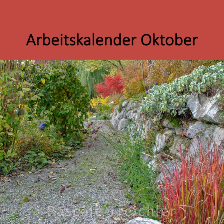 Garten Arbeitskalender Oktober.jpg