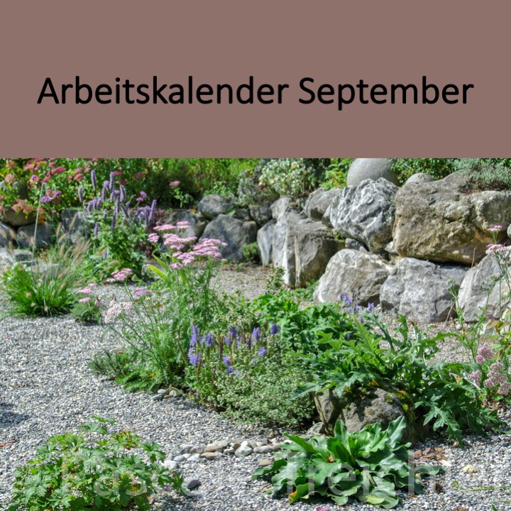 Garten Arbeitskalender September