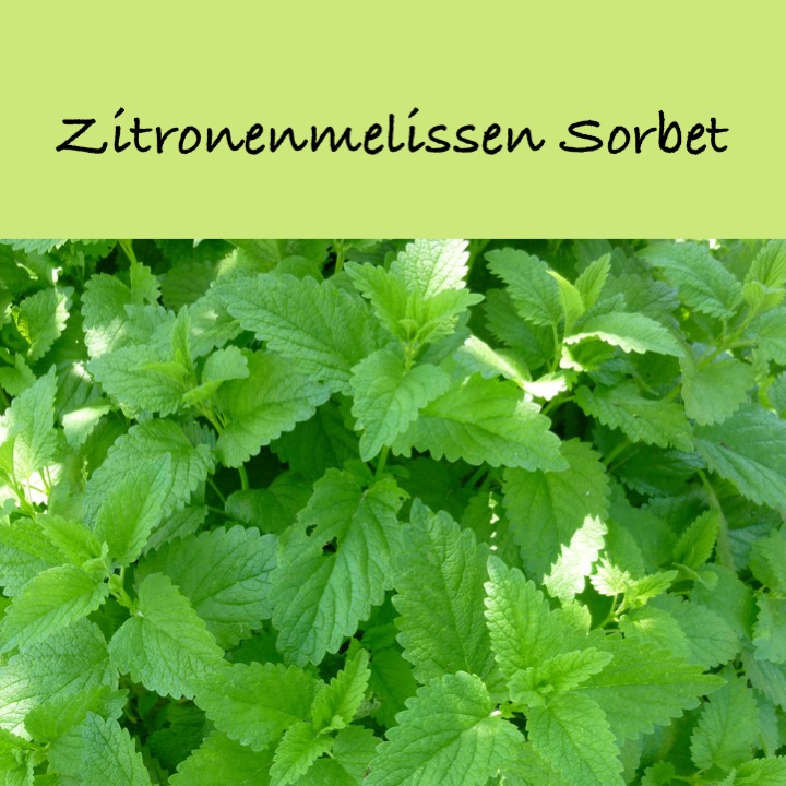 Rezept: Zitronenmelissen Sorbet – Pascale Treichler Rezept: Zitronenmelissen Sorbet – Pascale Treichler