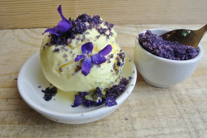 Gartenblog 2017.03-2