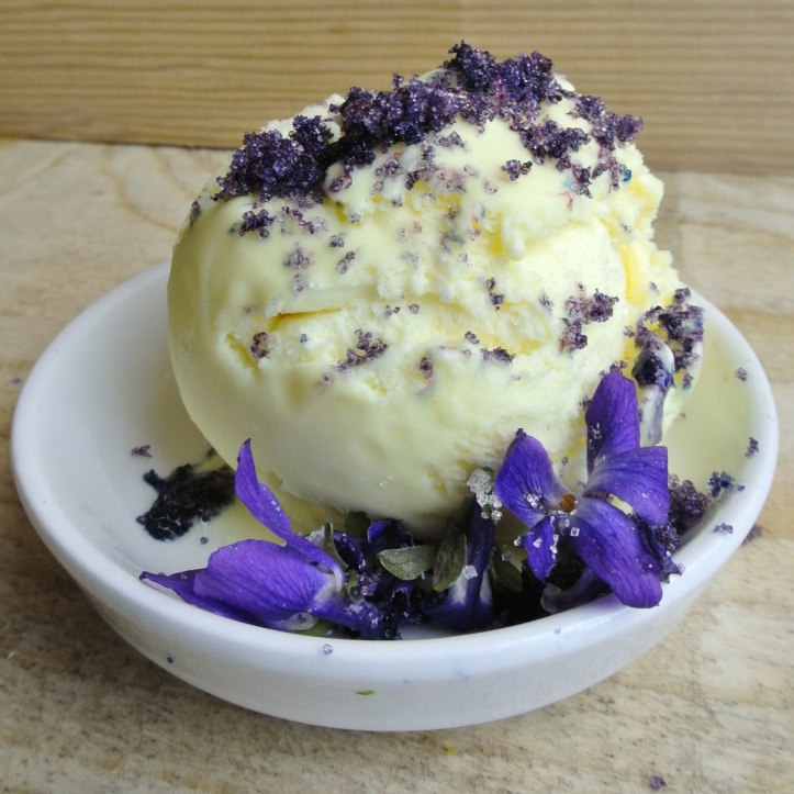 Gartenblog 2017.03-3