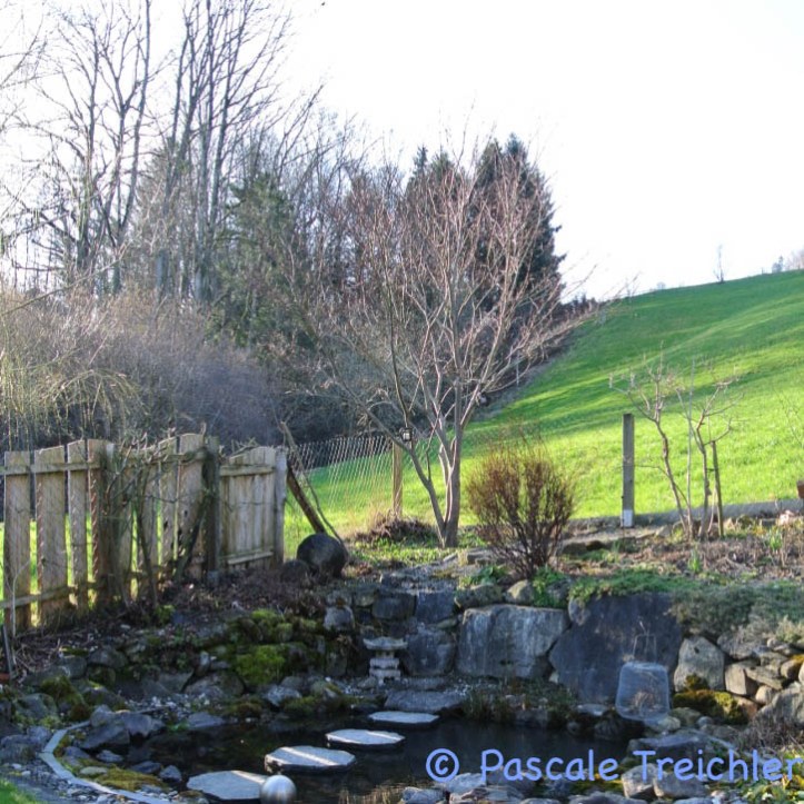 Gartenblog 2017.03-30