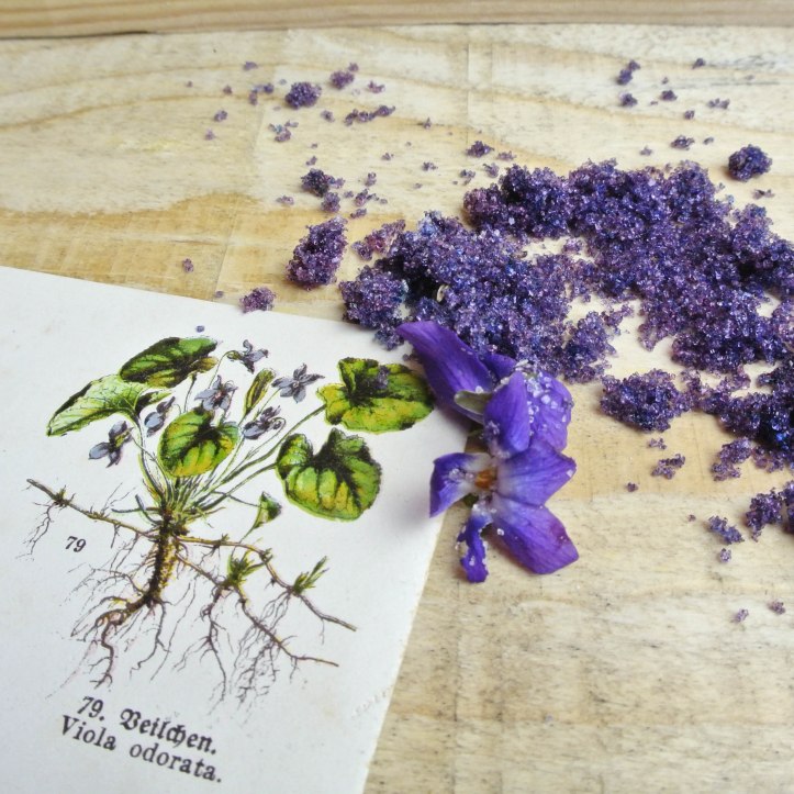 Gartenblog 2017.03-5