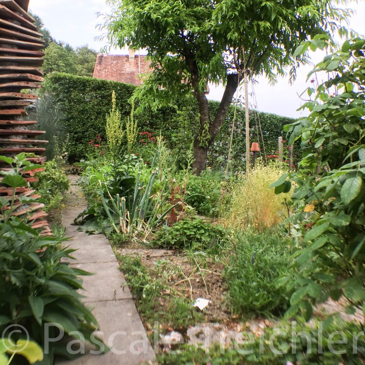 Kräutergarten - 4015