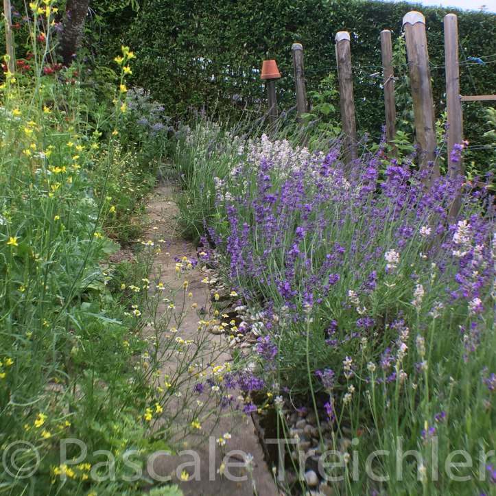 Kräutergarten - 4018