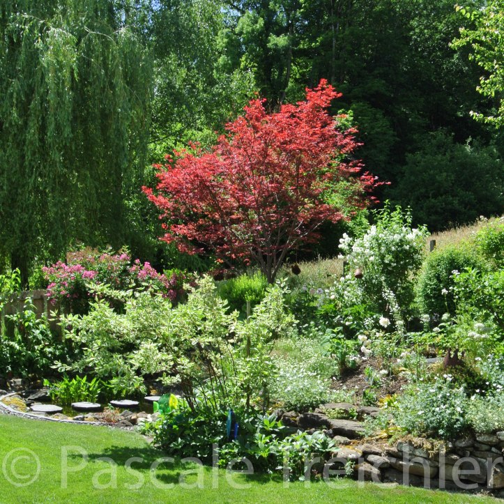 weisses Beet - Rasen 5109