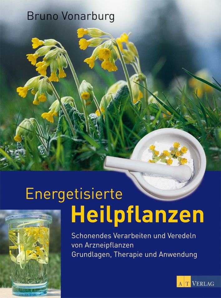 Energetisierte