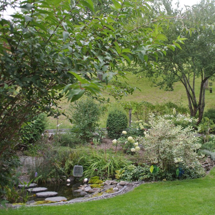 Teich - weisses Beet 5983-2