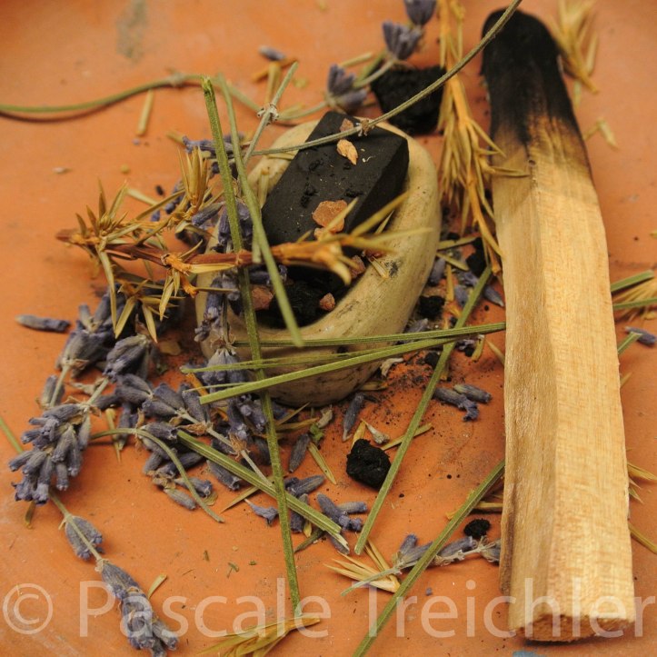 Räuchern 2017 7181-2