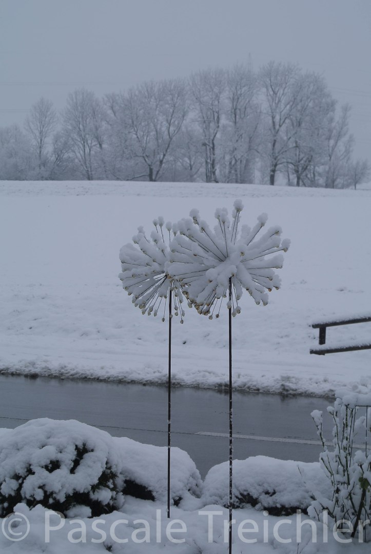 Vorgarten - Schnee -12 064-2