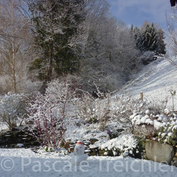 weisses Beet - (2)-2