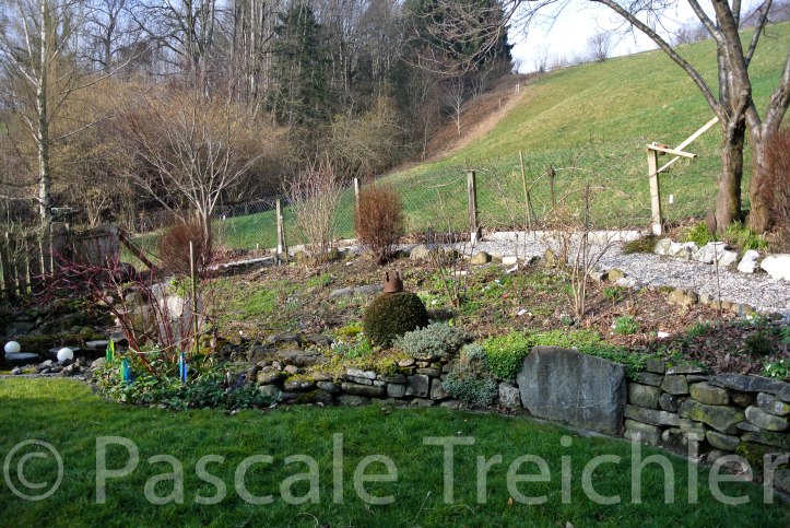 Garten 2018.01 7266-2