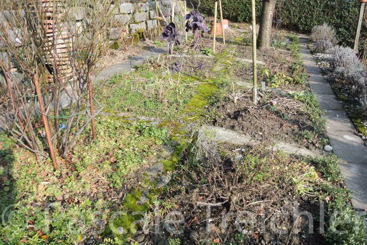 Garten 2018.01 7282-2