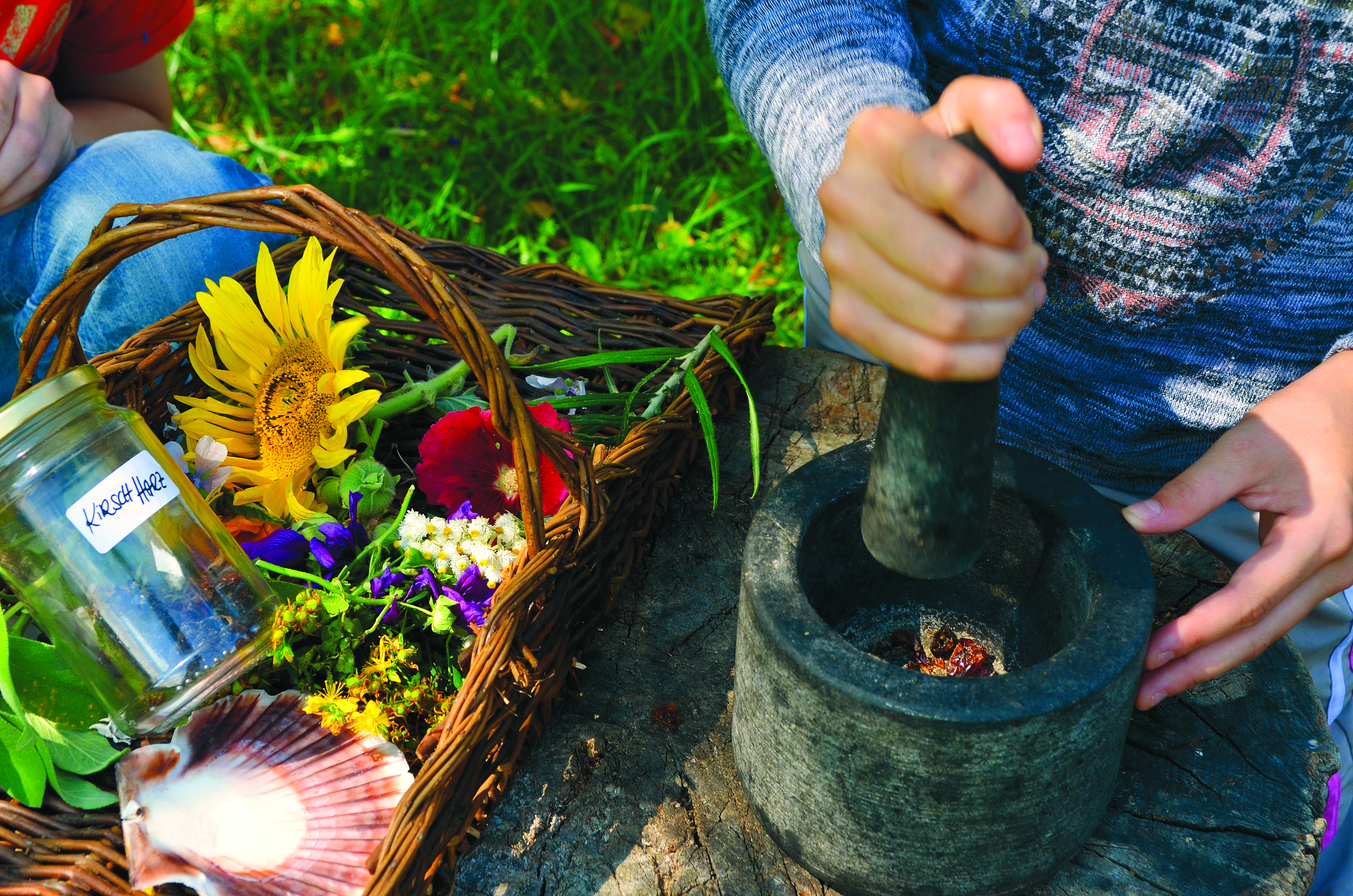 01_dritte_jahreszeit_kandierte_herbstblüten
