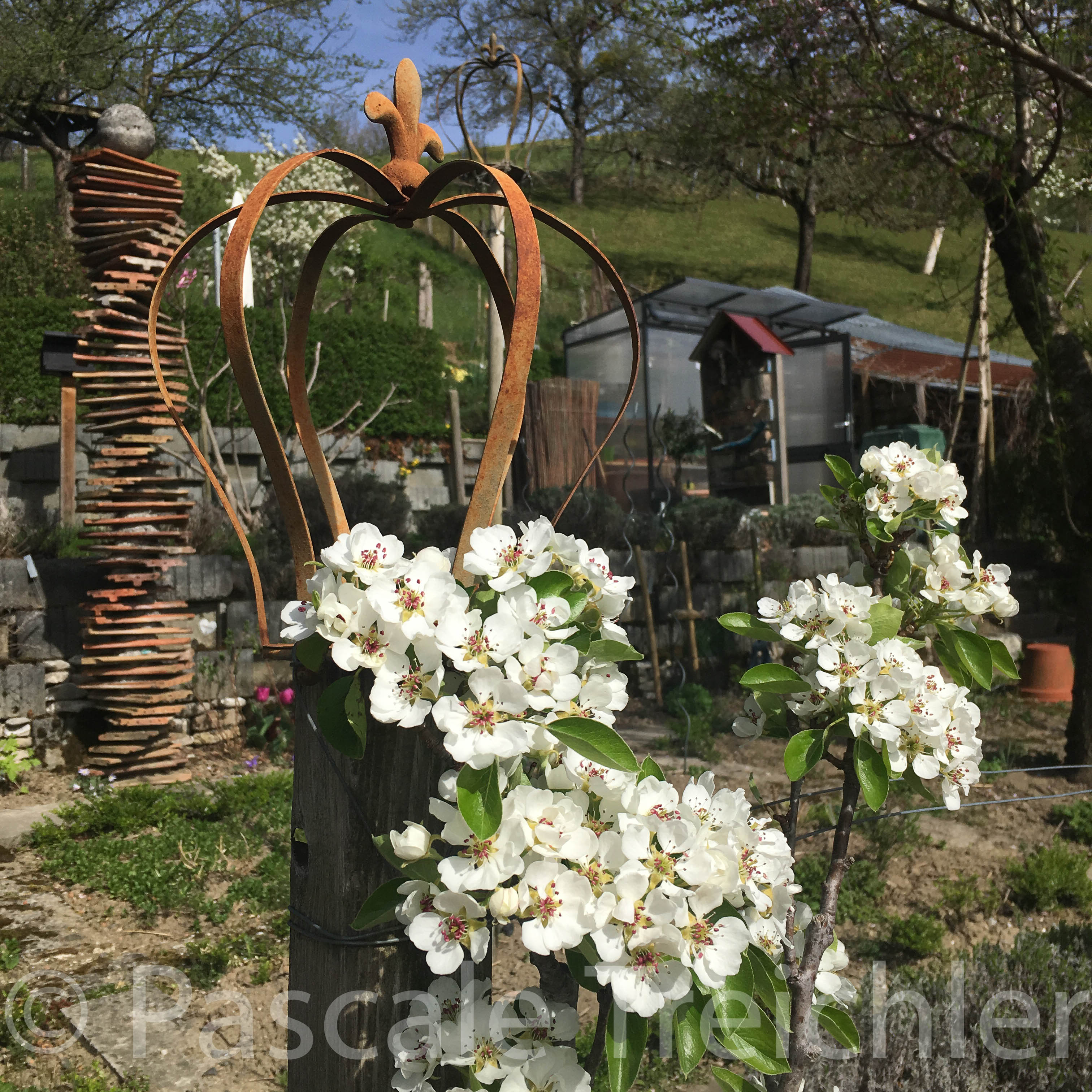 20180414-2018.04.6785