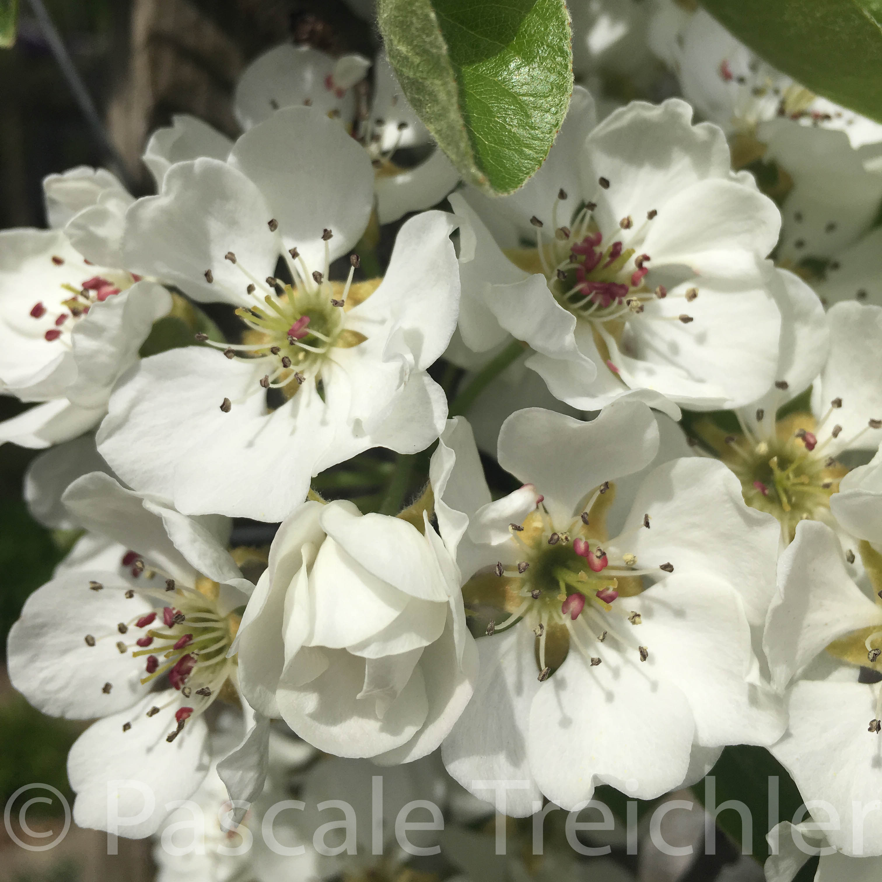 20180415-2018.04.6829