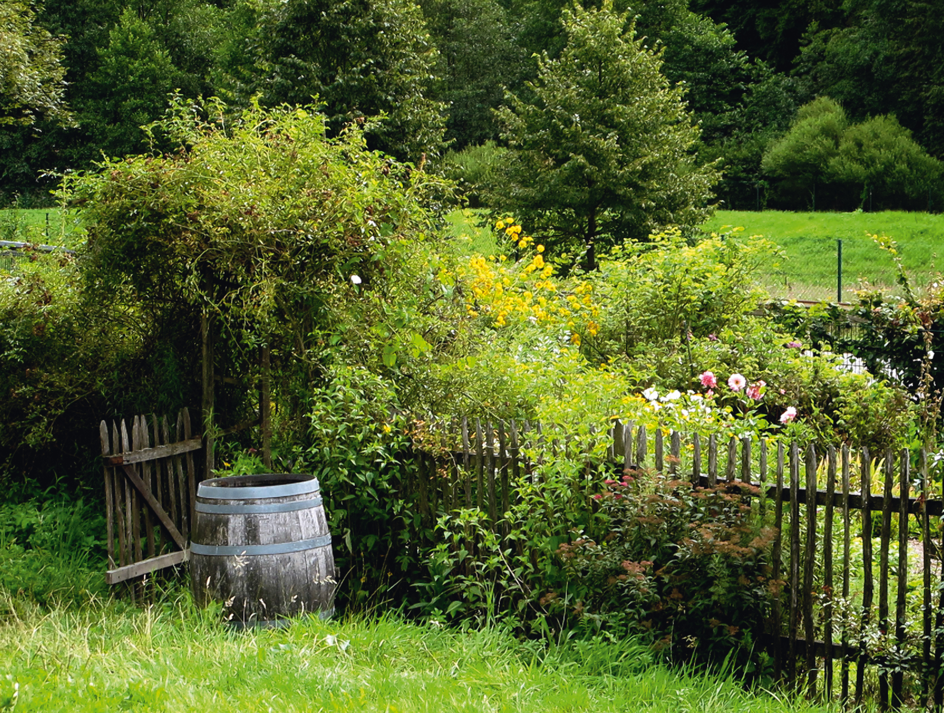 Schmetterlinge_BPK_S.34