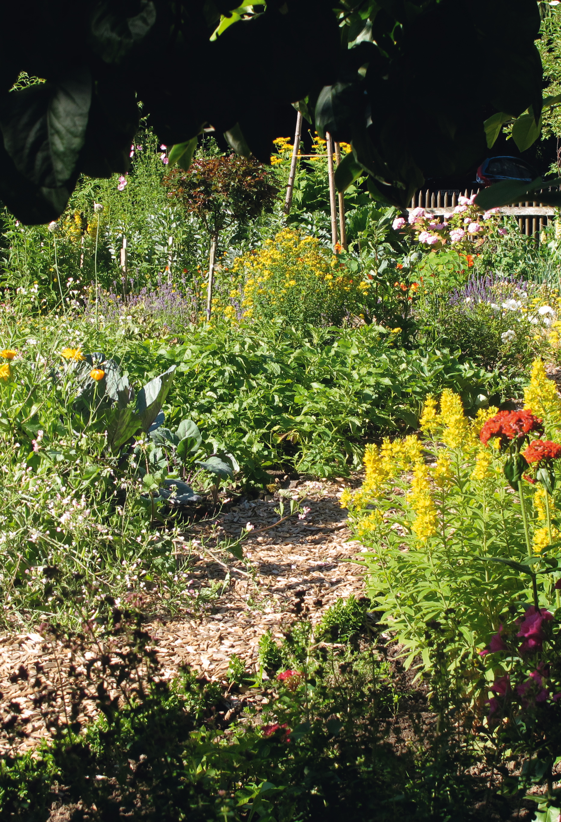 Schmetterlinge_BPK_S.8