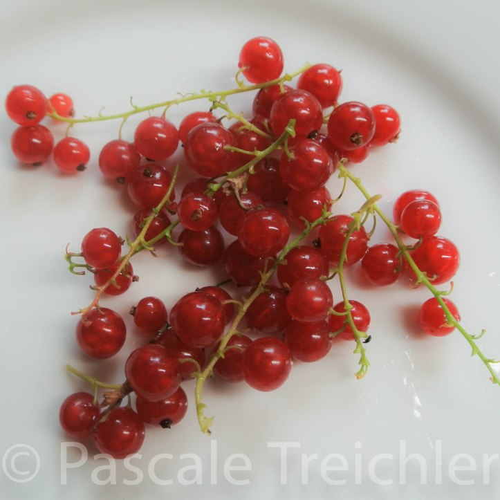 20150621-Johannisbeeren - 06 182