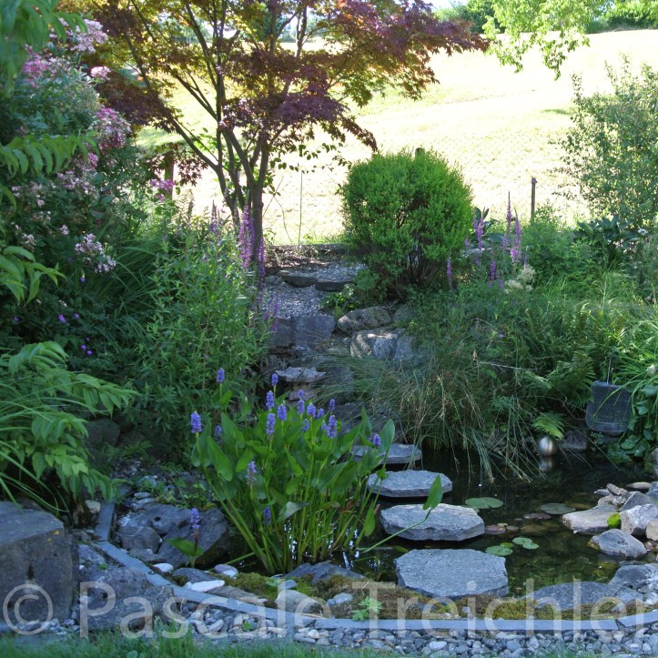 20180623-2018.06 8078