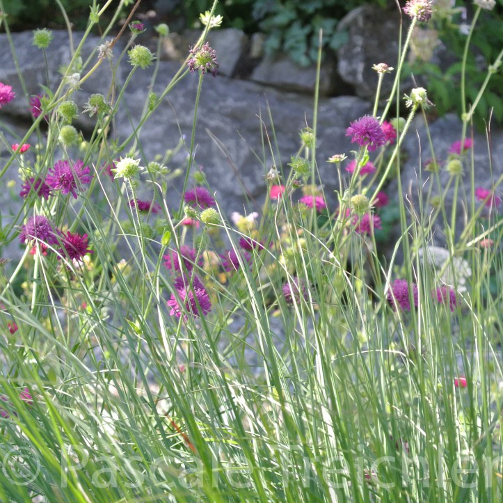 20180623-2018.06 8085