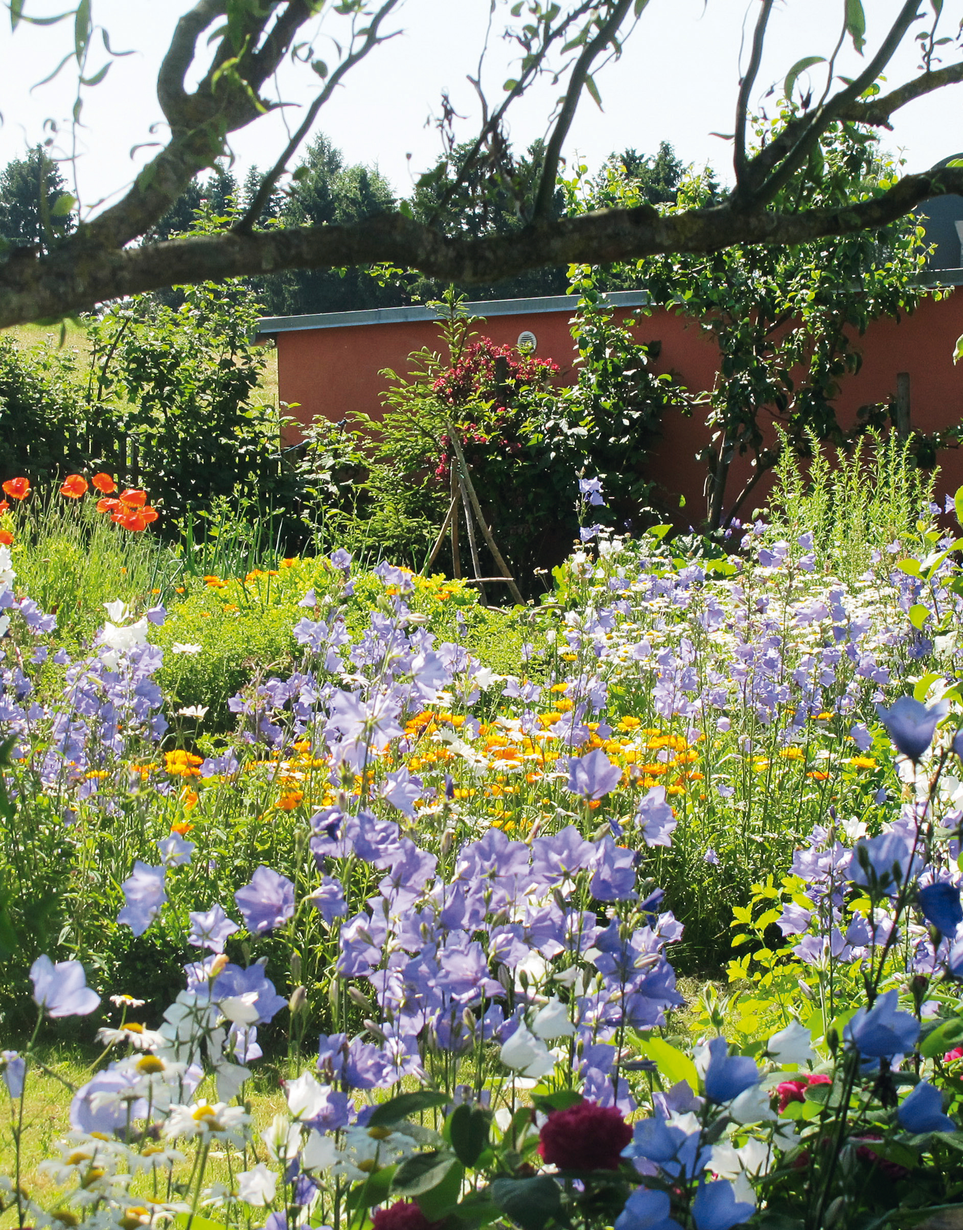 Bienenparadies_BPK_S.26