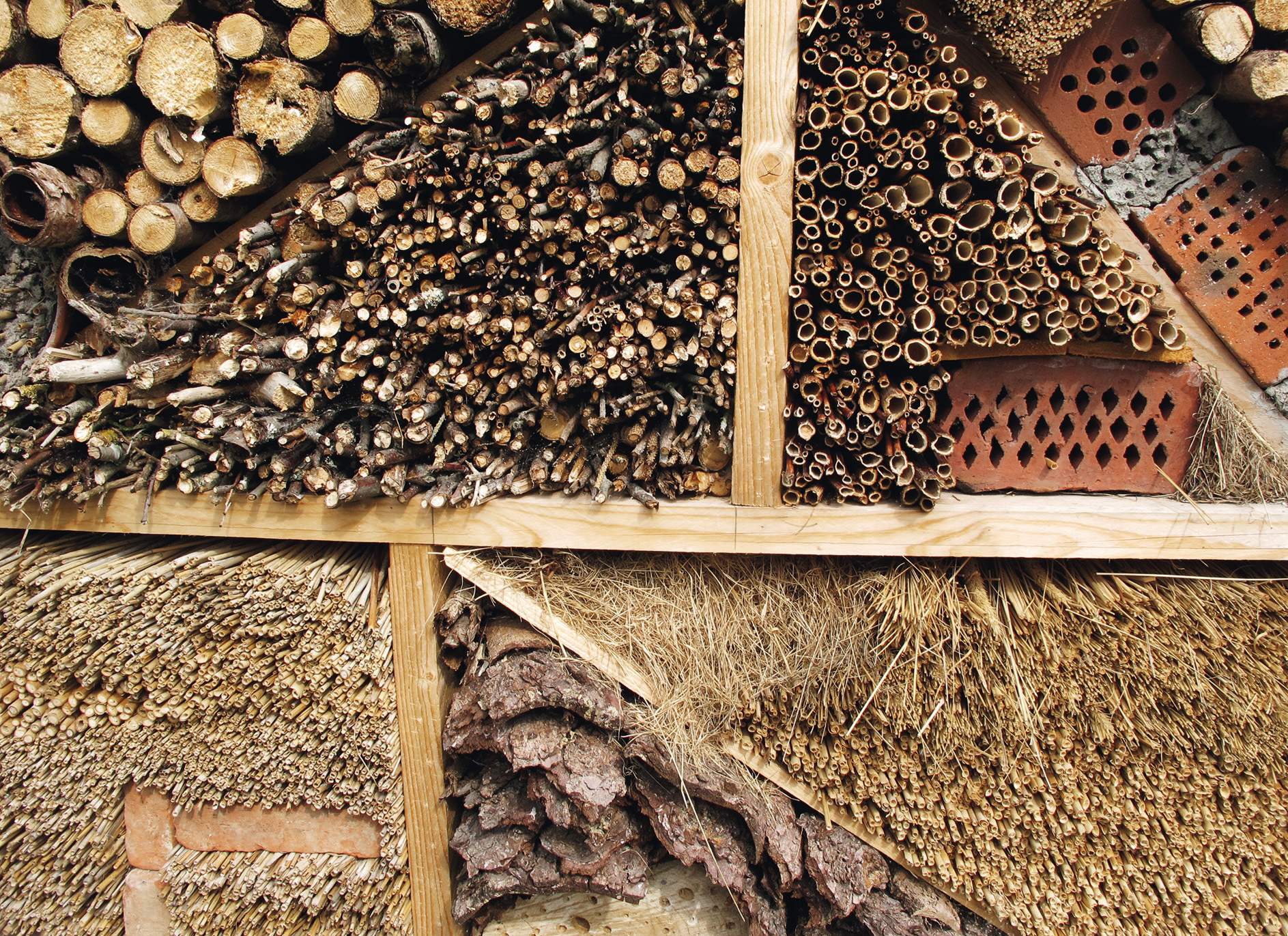 Bienenparadies_BPK_S.31