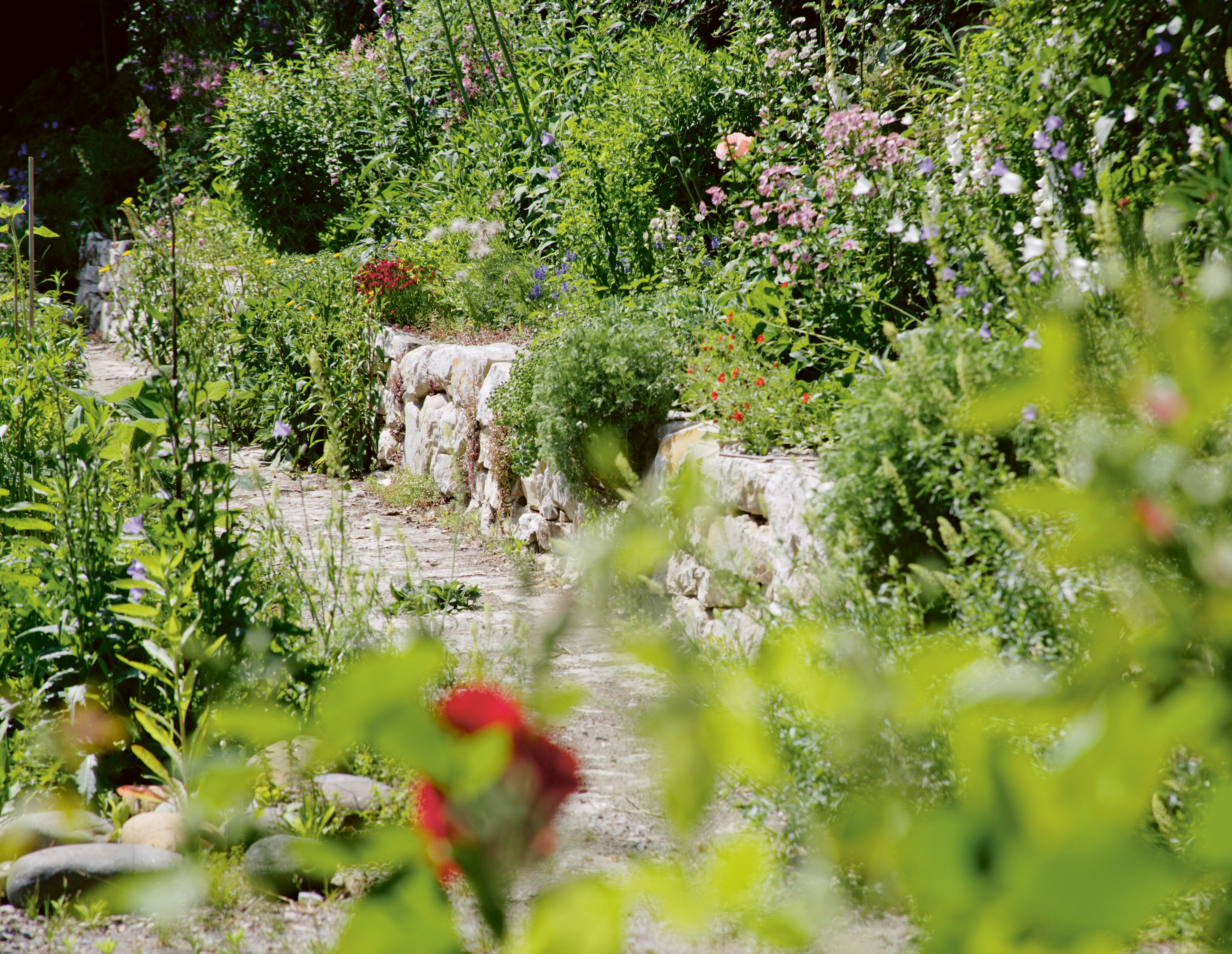 144_Richard_Der gestaltete Naturgarten_(c) Peter Richard.jpg