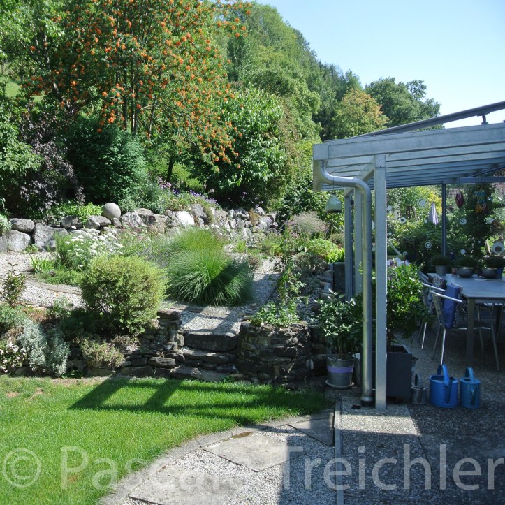 20180712-2018.07.8185 2