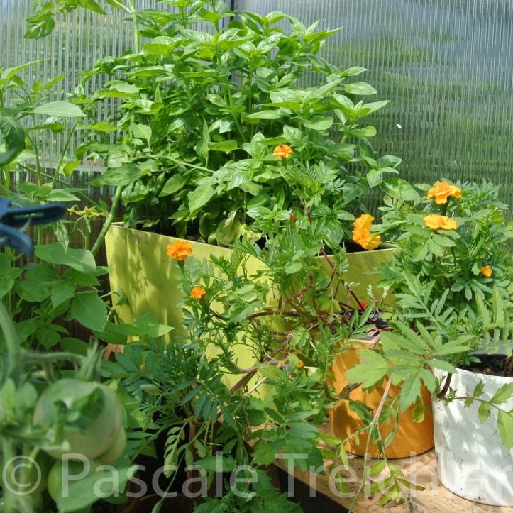 20180712-2018.07.8209 2