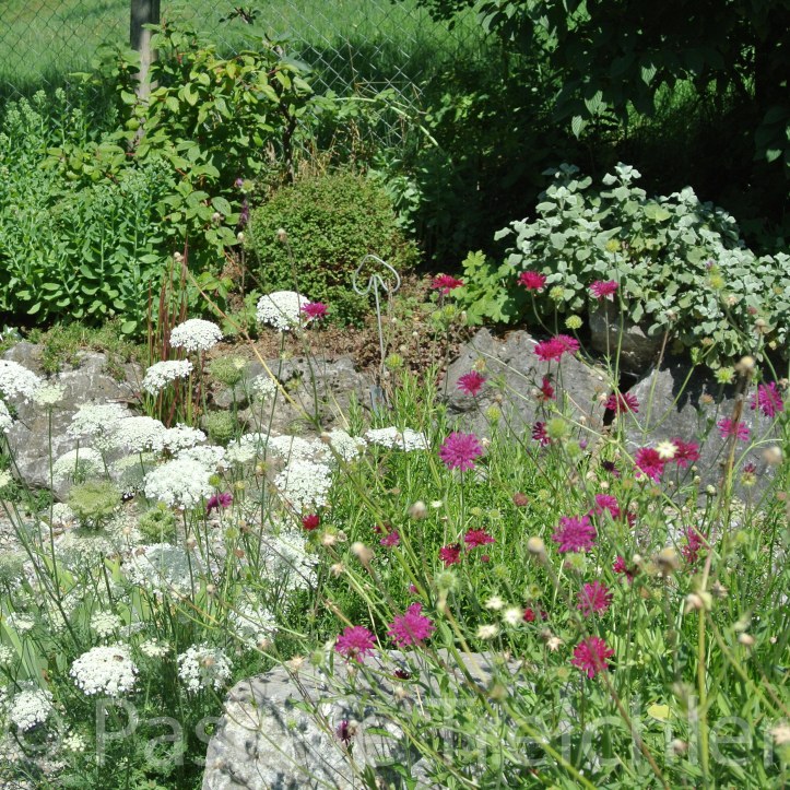 20180712-2018.07.8228