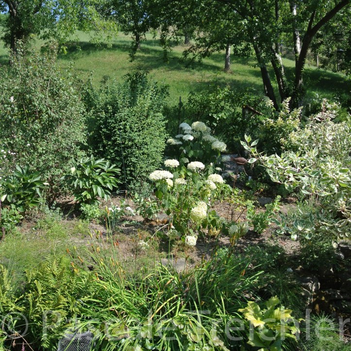 20180718-2018.07.8258