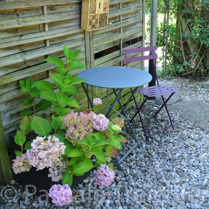 20180718-2018.07. Garten 8260