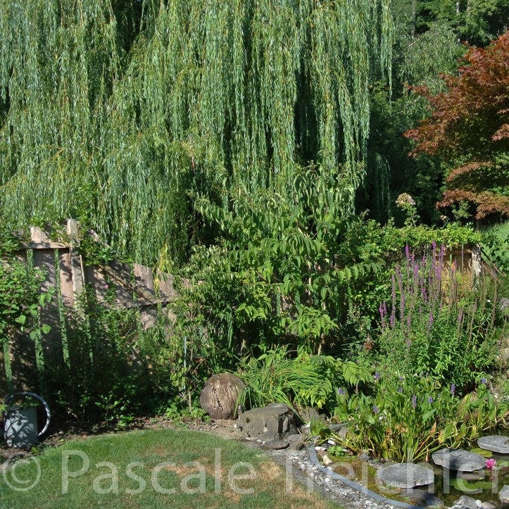 20180729-2018.07.8292