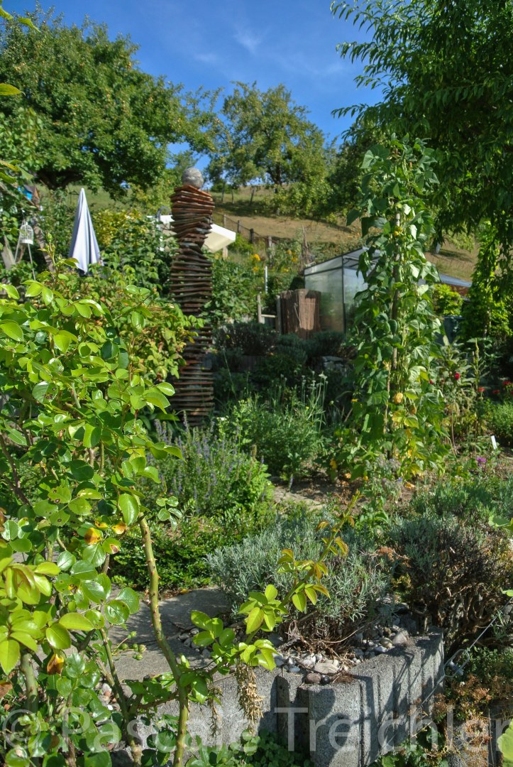 20180729-2018.07.8311