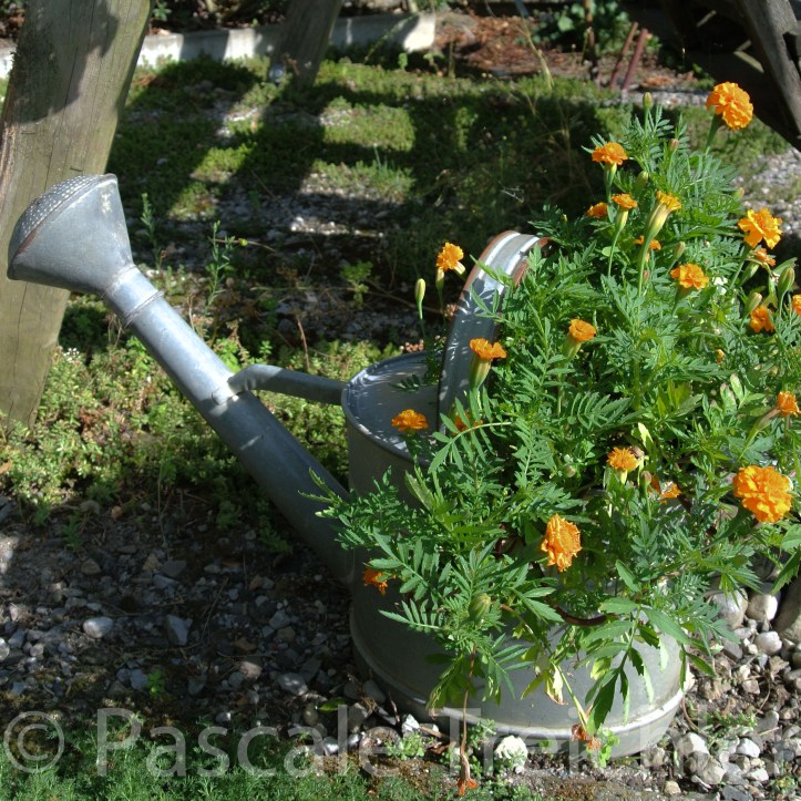 20180729-2018.07.8321