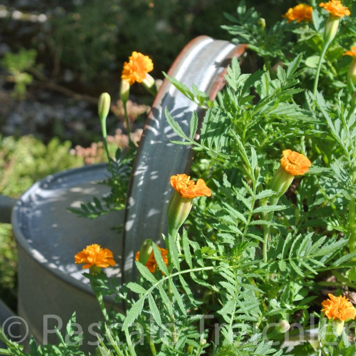 20180729-2018.07.8322