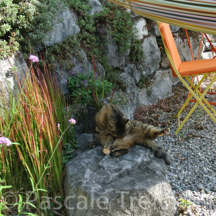 20180729-2018.07.8350