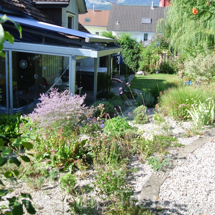 20180729-2018.07.8360