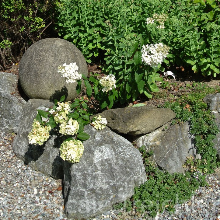 20180729-2018.07.8364