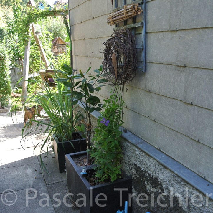 20180729-2018.07.8378