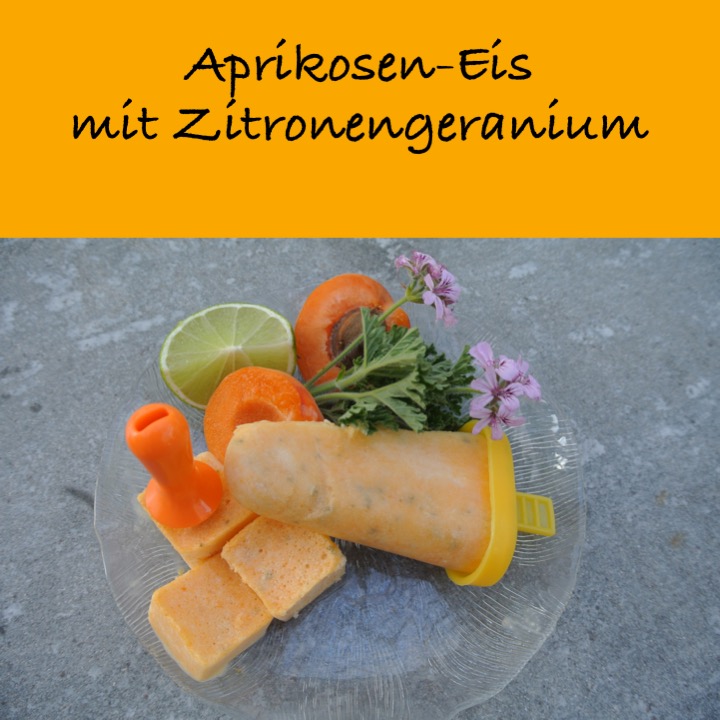 Aprikoseneis mit Zitronengeranium